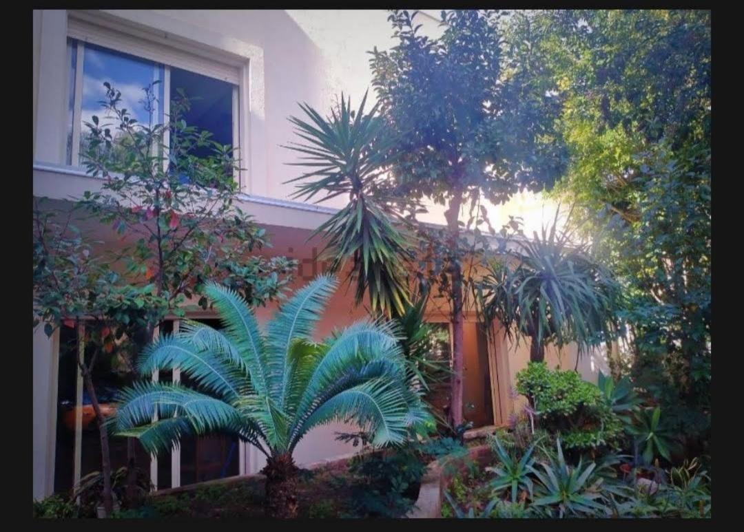 Villa Maya Villa San Giovanni Dış mekan fotoğraf